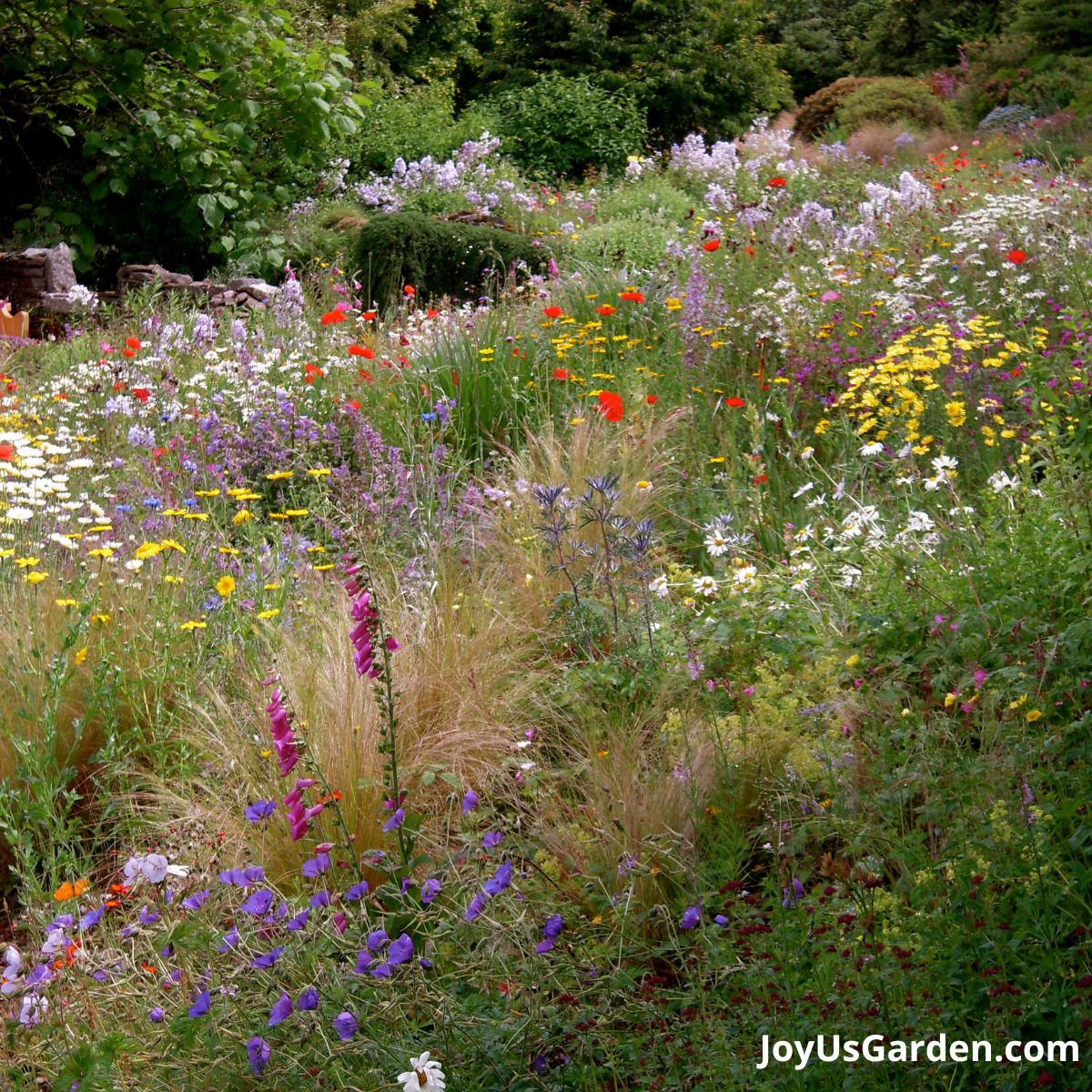 Wildflowers growing in a wide array of colors and varieties on a hill in England. 