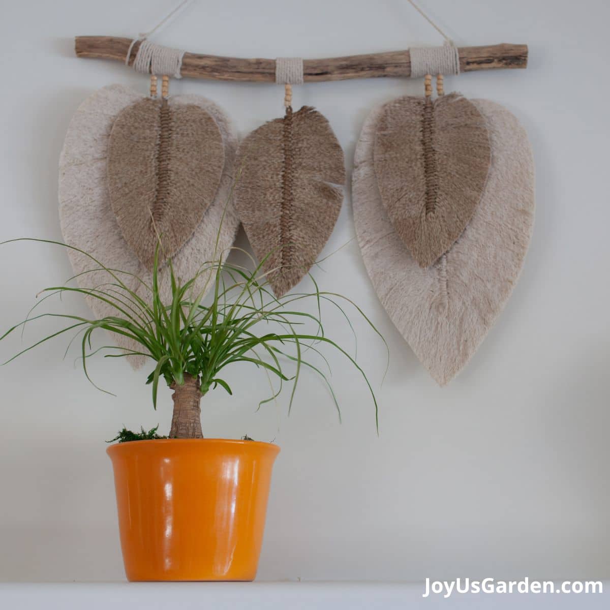 Ponytail palm in orange pot on firepace mantle.