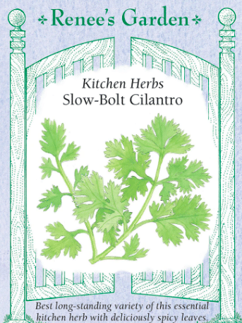 Slow bolt cilantro herb seed packet from the vendor Renee's Garden.