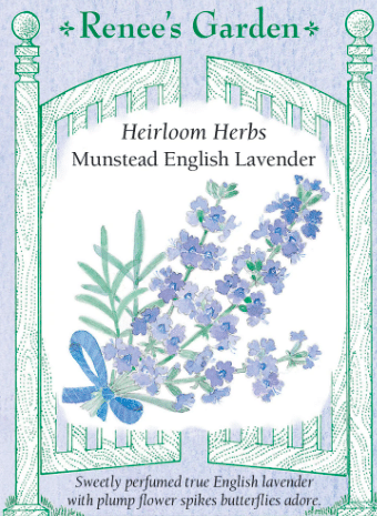 Munstead English Lavender herb seed packet from the vendor Renee's Garden.