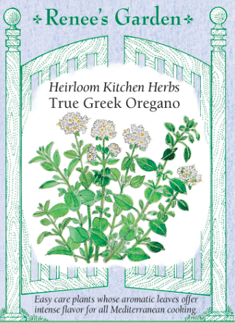 True Greek Oregano herb seed packet from the vendor Renee's Garden.