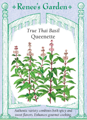True Thai Basil herb seed packet from the vendor Renee's Garden.