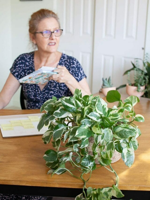 Plants For Your Office Desk + Care Instructions