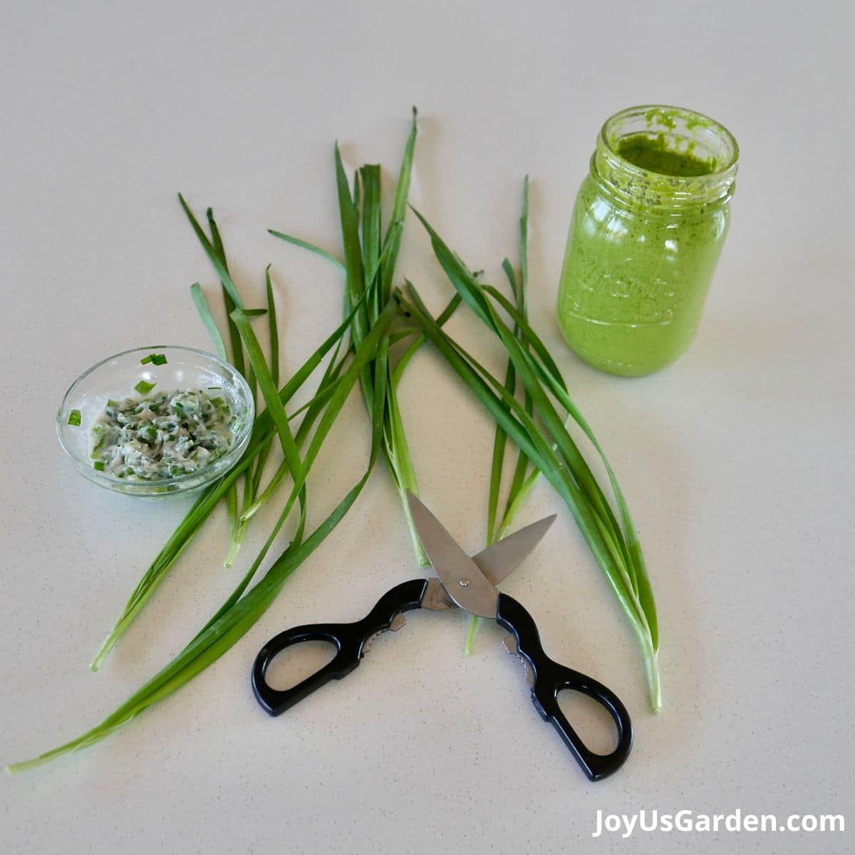 Cuttings of garlic chive with garlic butter and garlic chives in a mason jar on a kitchen countertop alongside scissors. 