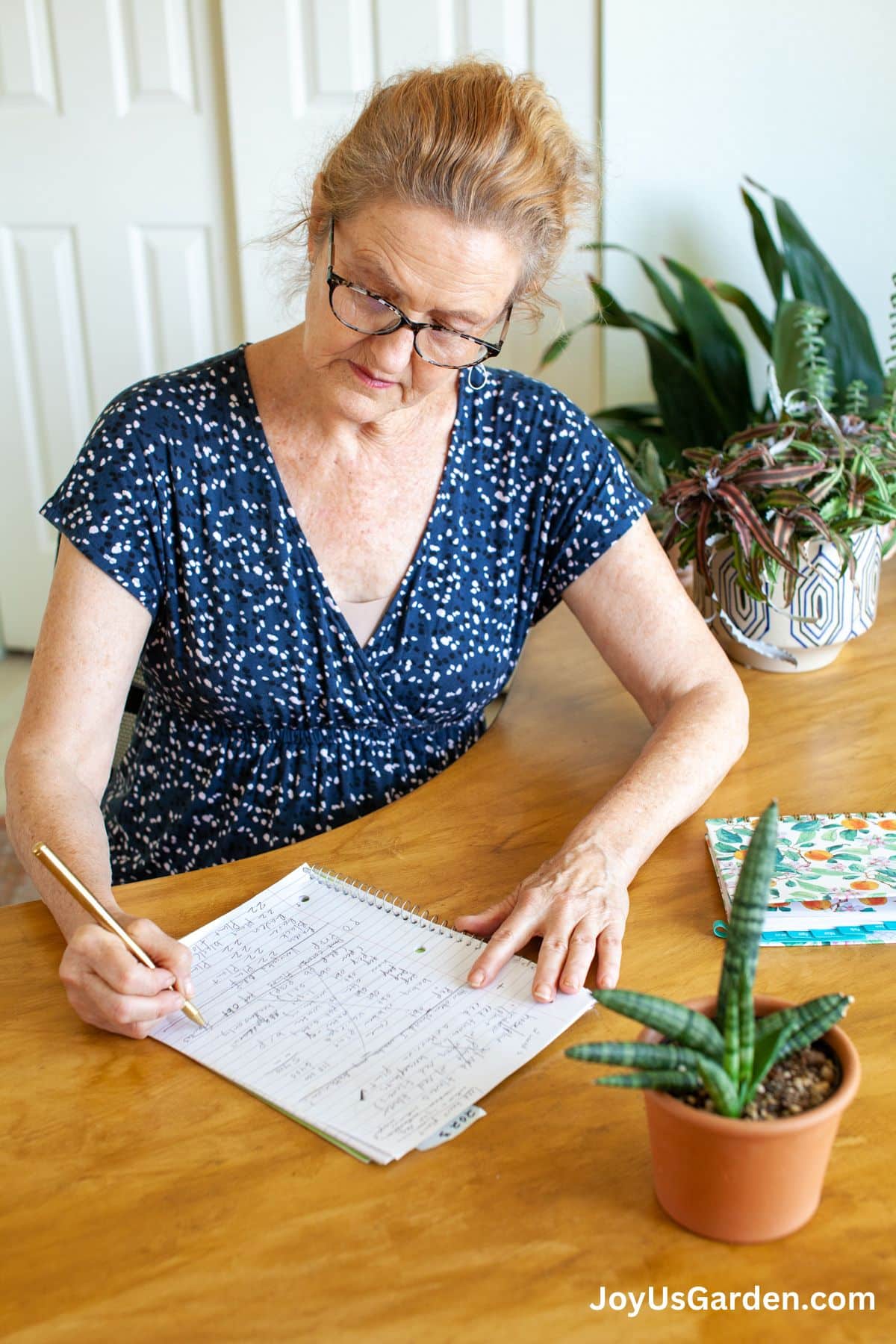 Nell Foster sitting at office desk with snake plant on the office desk.