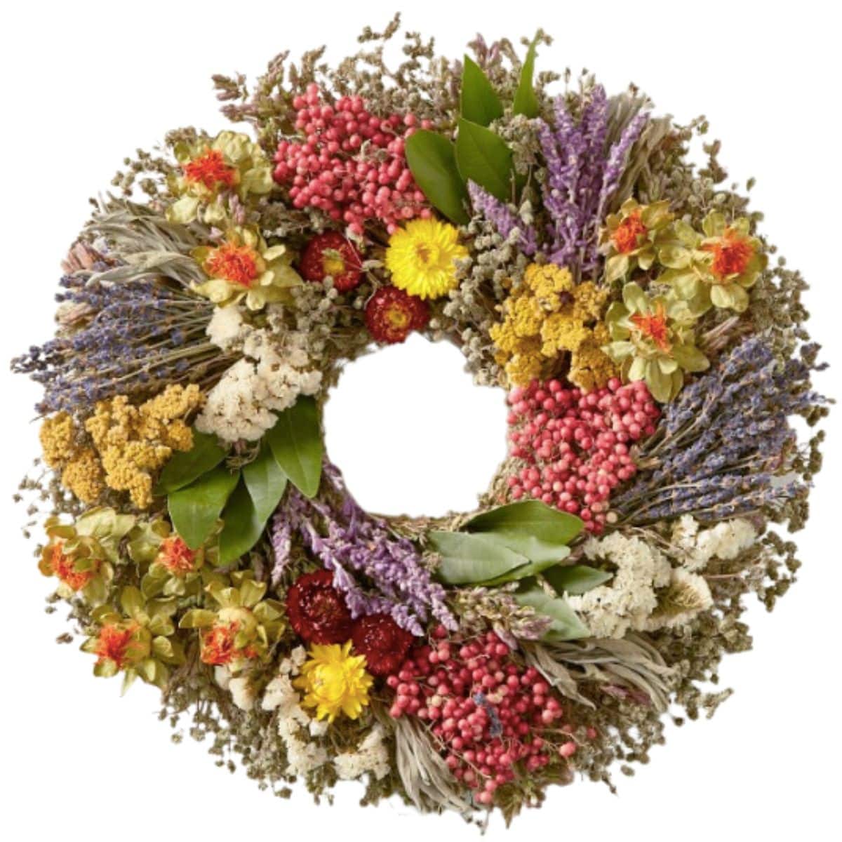 Farmers' Market Herb Live Wreath in a rainbow of colors from williams sonoma. 
