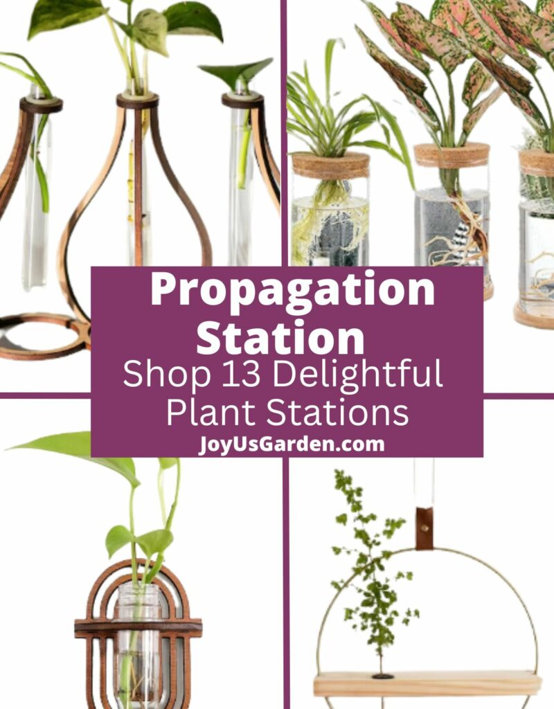 Four photo collage of propagation stations for plant cuttings, text reads Propagation Station Shop 13 Delightful Plant Stations joyusgarden.com.
