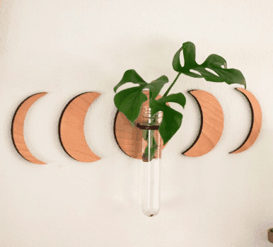 Moon phase wood vase and wall art with plant cuttings growing from etsy.