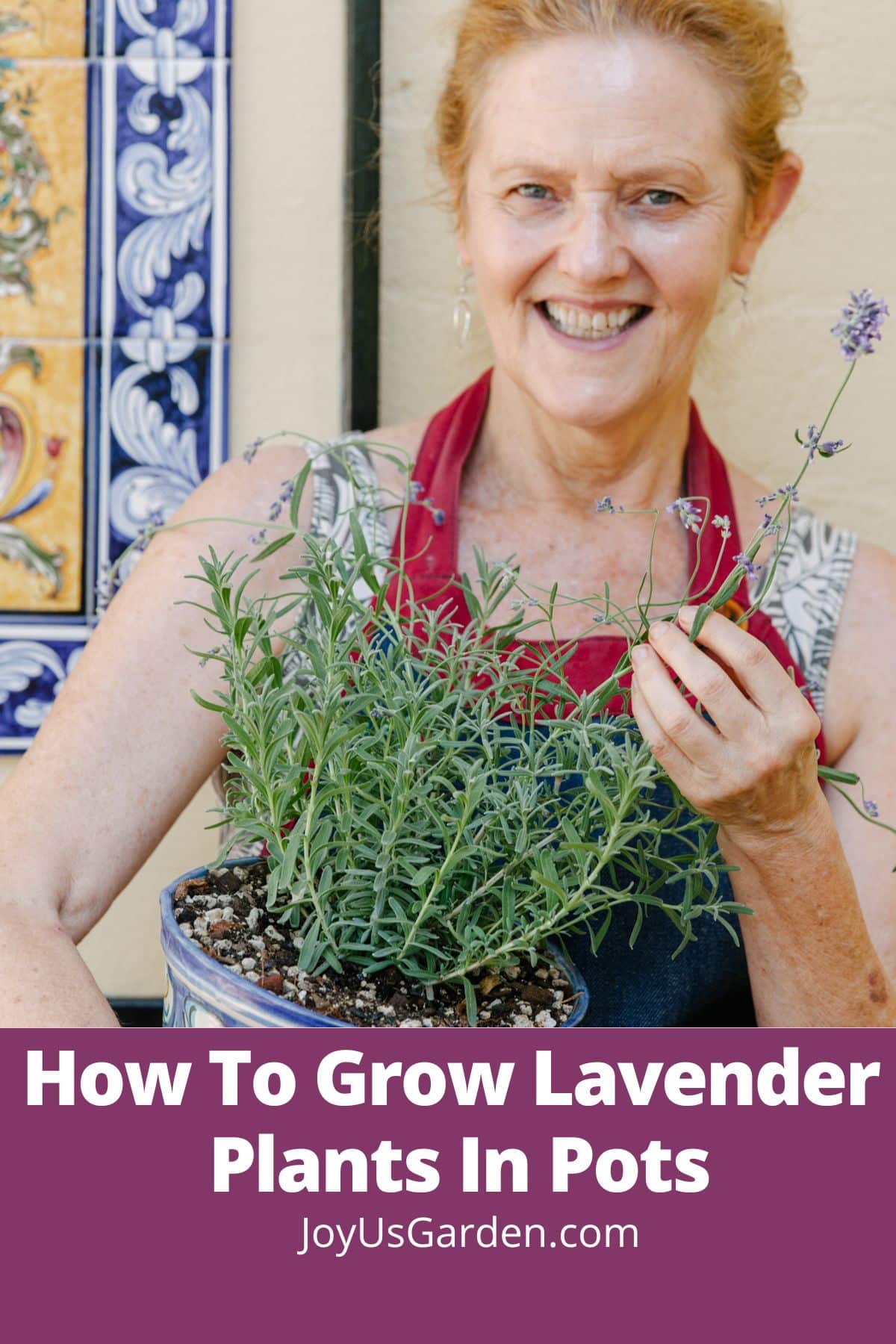 Nell Foster is outdoors in her garden holding a lavender in pot text reads ho to grow lavender in a pot joyusgarden.com