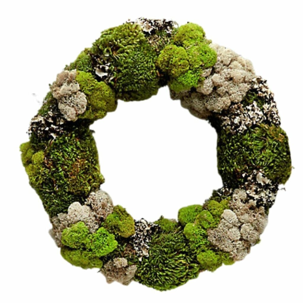 Mixed Moss Wreath preserved clump moss, reindeer moss, sheet moss and lichen from Terrain. 