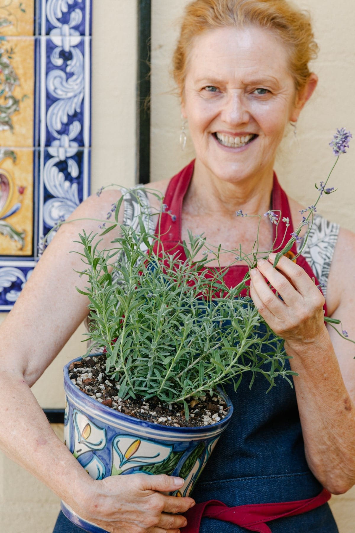 Growing Lavender In Pots Outdoors - Joy Us Garden | Care, Propagation, and  Pruning