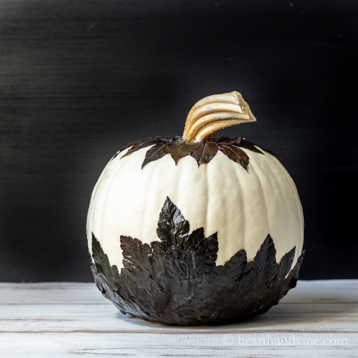 A white pumpkin is decorated with bronze leaves for the fall.
