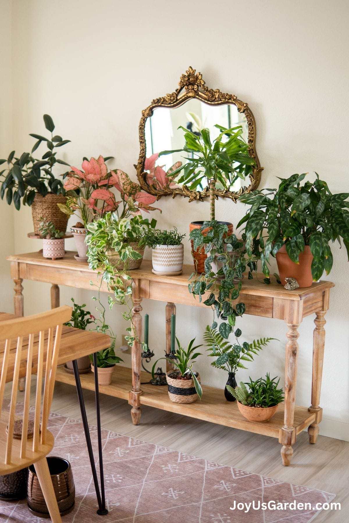 Indoor plant table filled with a dozen houseplants of different varieties in brightly lit room.