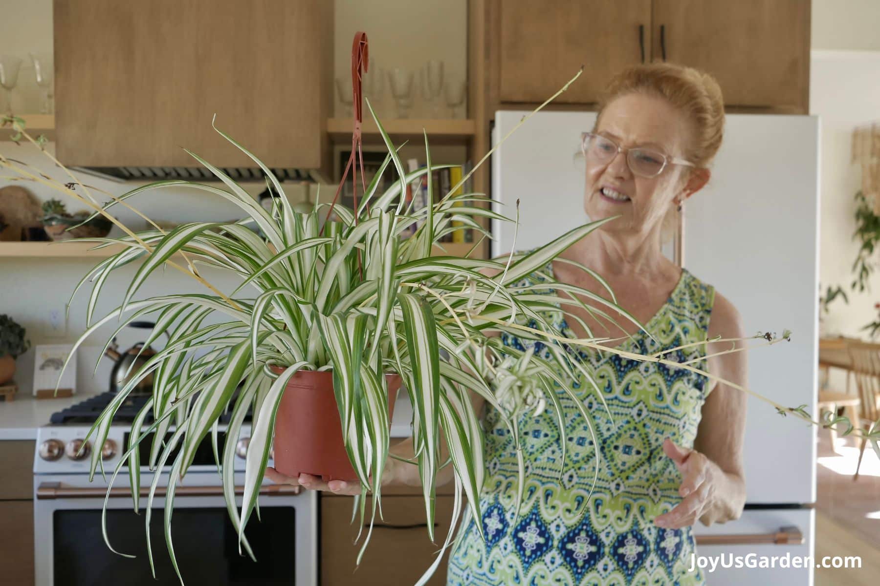 Nell foster stands in her kitchen holding a variegated spider plant.