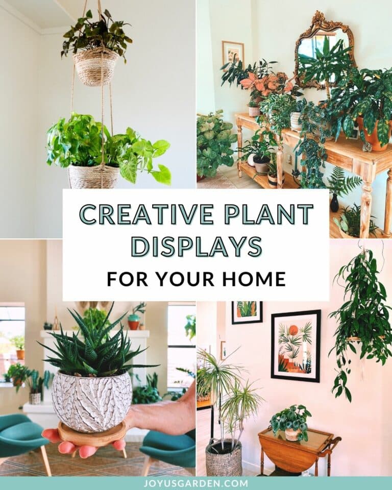 A collage with 4 indoor plant display ideas the text reads creative plant displays for your home joyusgarden.com.