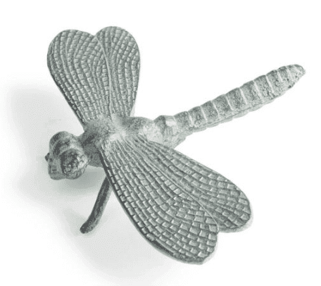 Garden dragonfly statue from Grandin road.