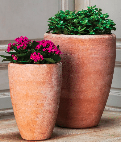 Two Terracotta outdoor planters with plant inside from pottery barn.