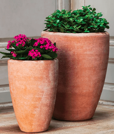 Two Terracotta outdoor planters with plant inside from pottery barn.