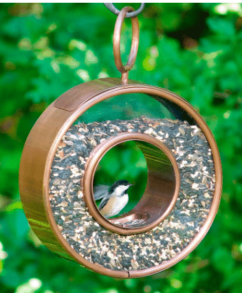 Circular copper bird feeder outdoors from pottery barn.