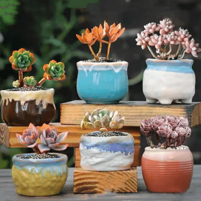 Make Your Own Little Clay Pots For Fresh Succulent Plants