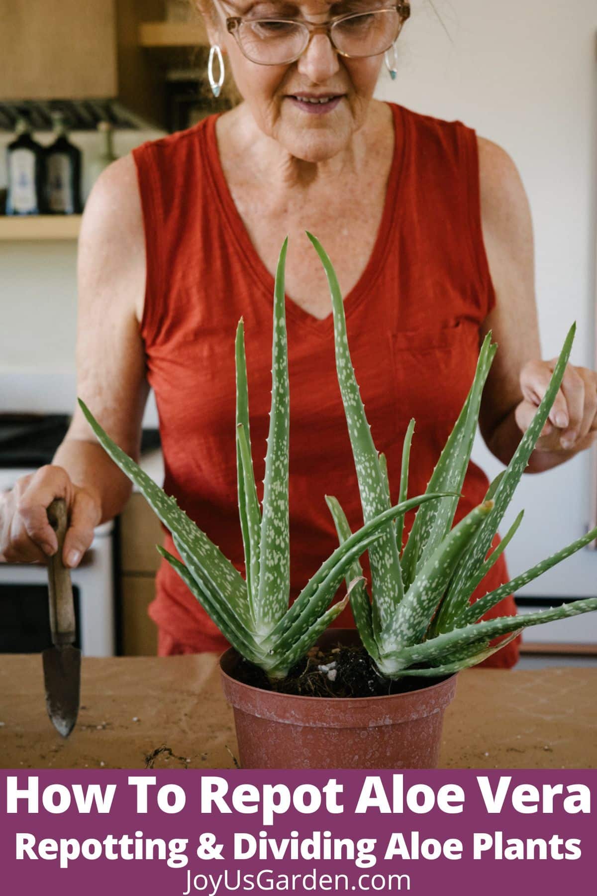 How to Repot Aloe Vera: A Guide to Repotting an Aloe Vera Plant