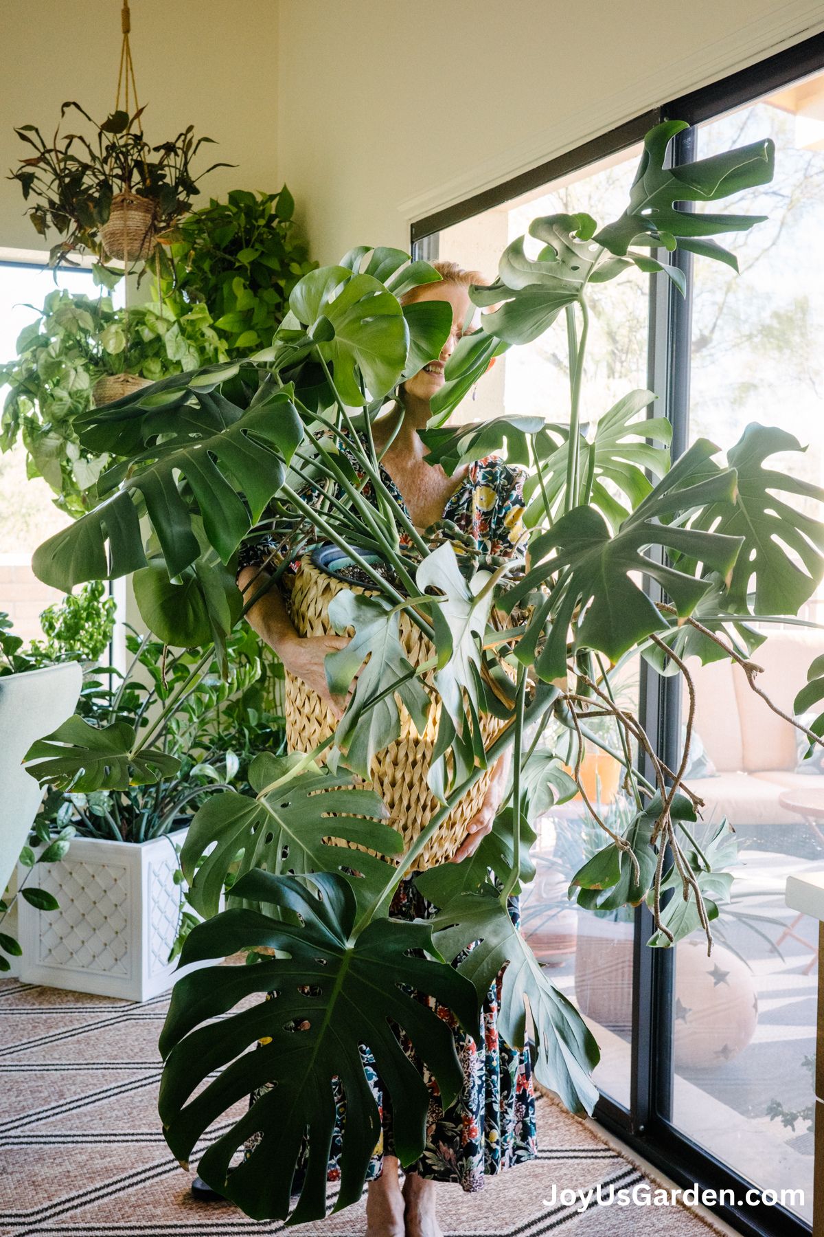 Nell Foster holds her large Monstera Deliciosa in a plant basket. 