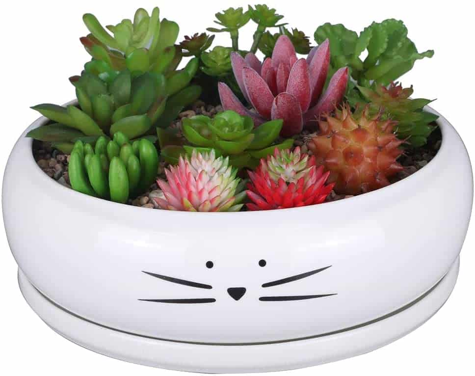 White cat design ceramic succulent planter from Amazon.