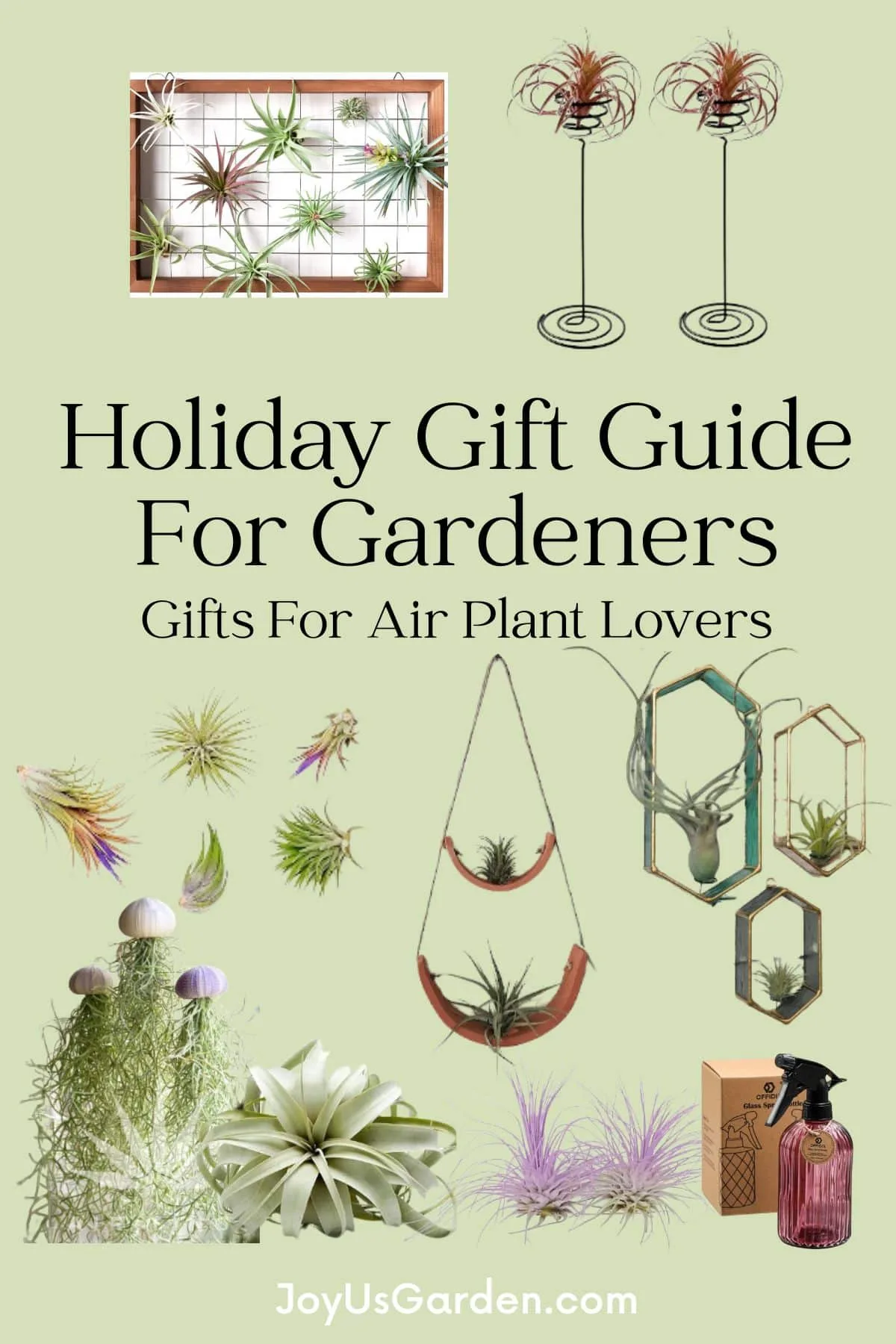 Collage of air plants and air plants accessories that can be bought online.