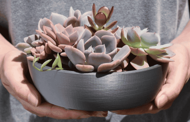 Gray shallow succulent planter with succulents planted inside from Etsy.