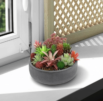 Round gray cement planter with succulents potted inside from Amazon.