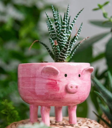 Pig shape animal planter pot from Etsy.