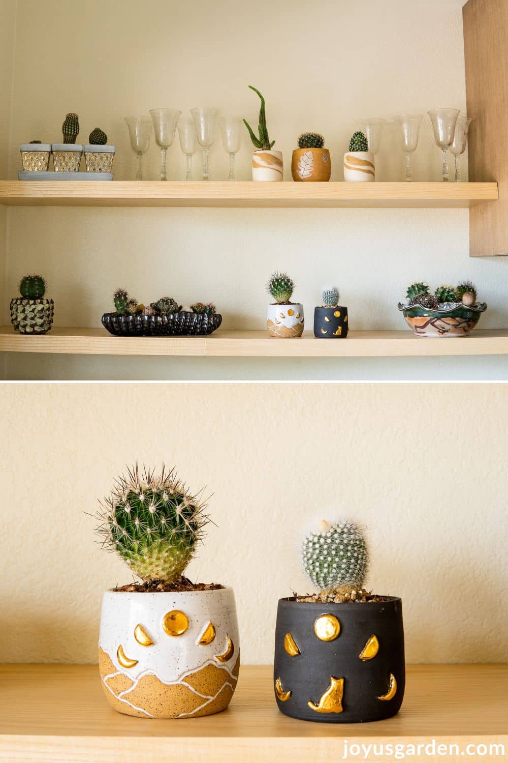 2 different photos showing a variety of cacti in different containers on floating shelves.