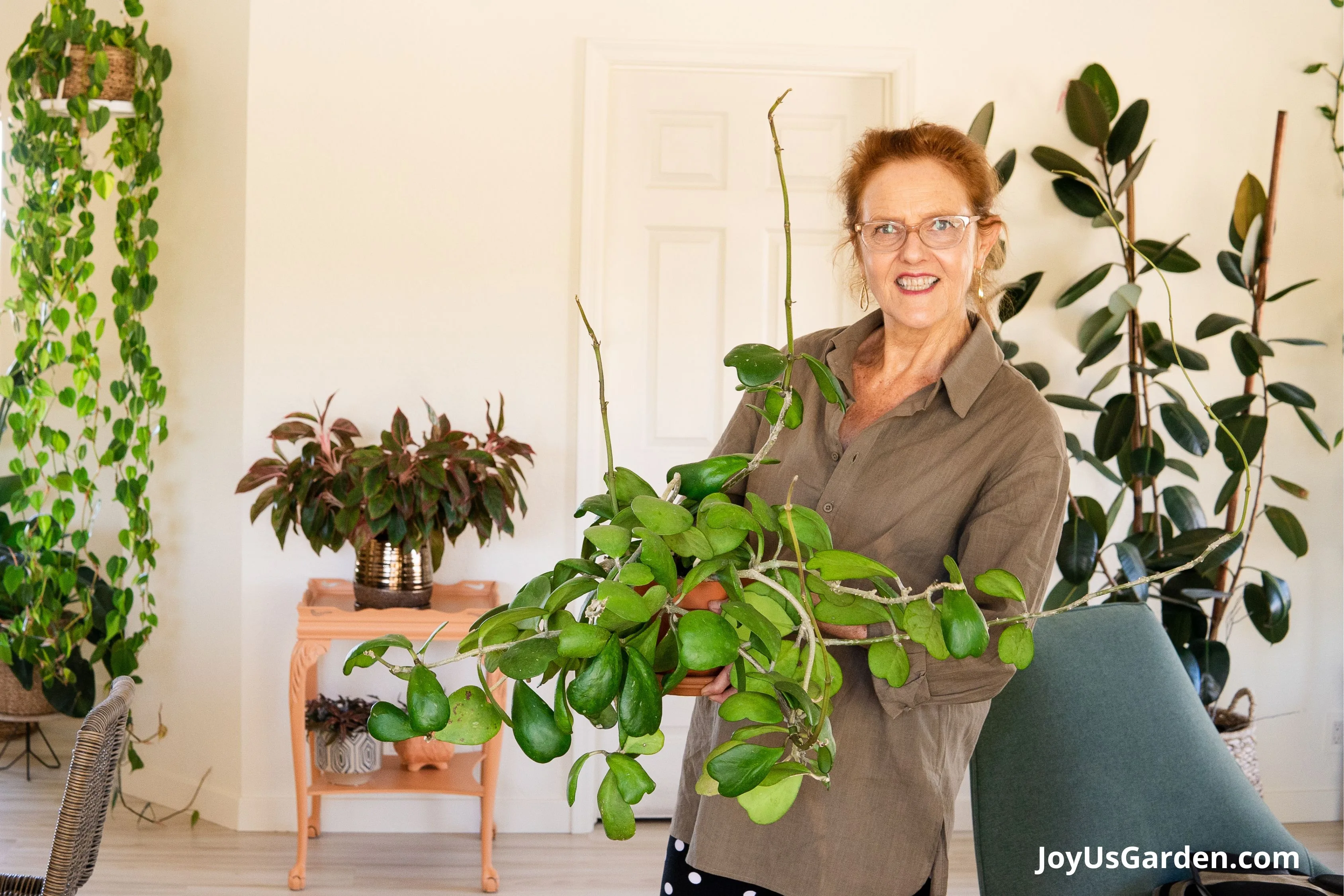 Nell Foster holding a sweetheart hoys in a terracotta pot in a brightly lit room.