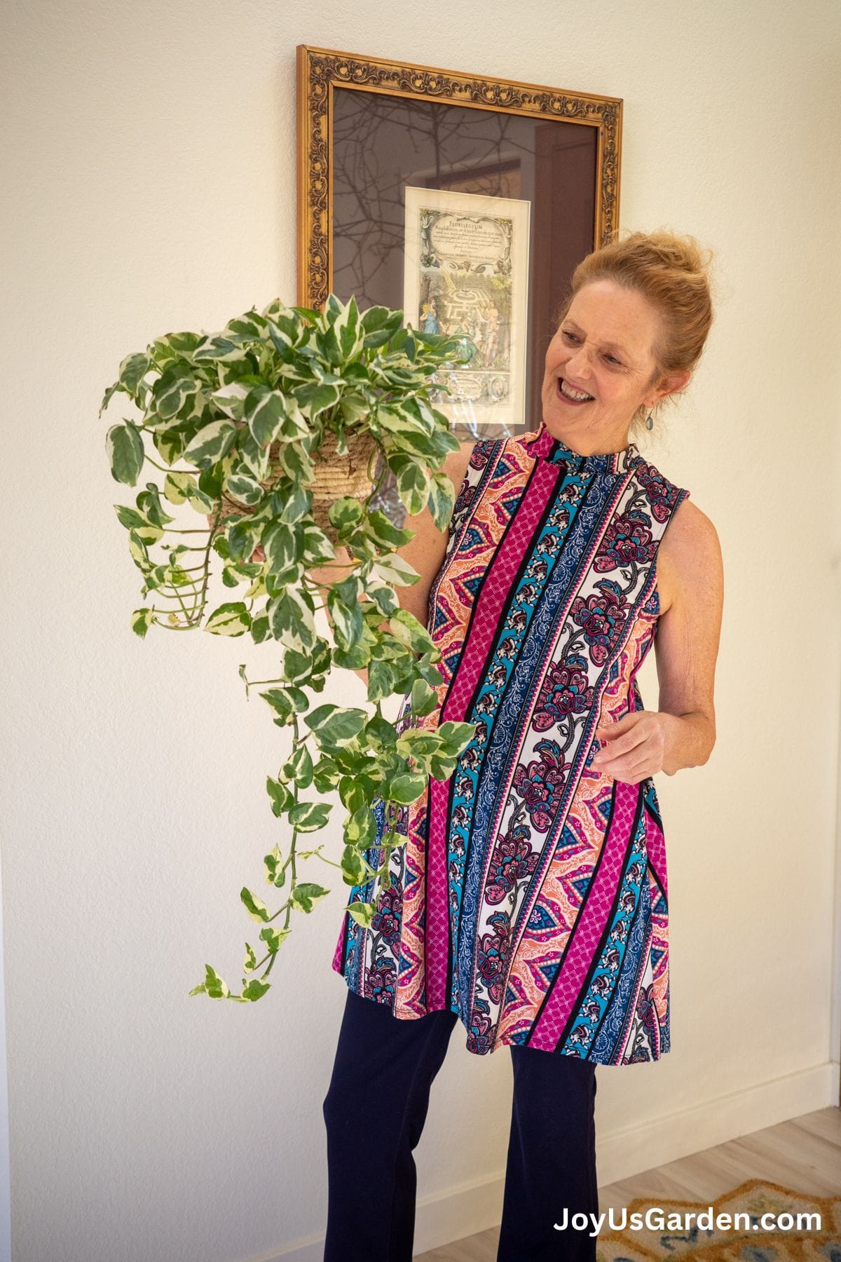 Pothos N Joy Plant Care A Beginner s Growing Guide pothos-devil-s-ivy-epipremnum-aureum-care-tips-and-problem-guide