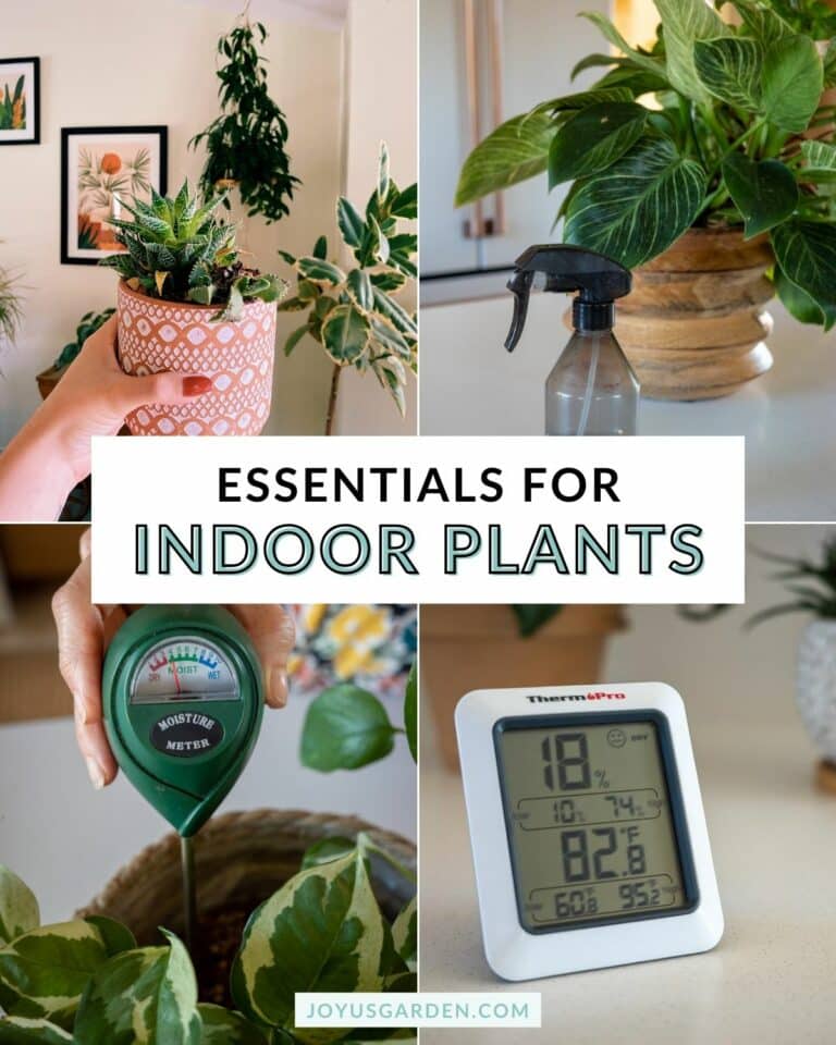 Essentials for Indoor Plants: 16 Accessories for Your Houseplant Collection