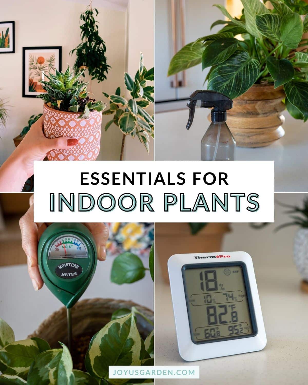 Essentials For Indoor Plants: 16 Indoor Gardening Must Haves