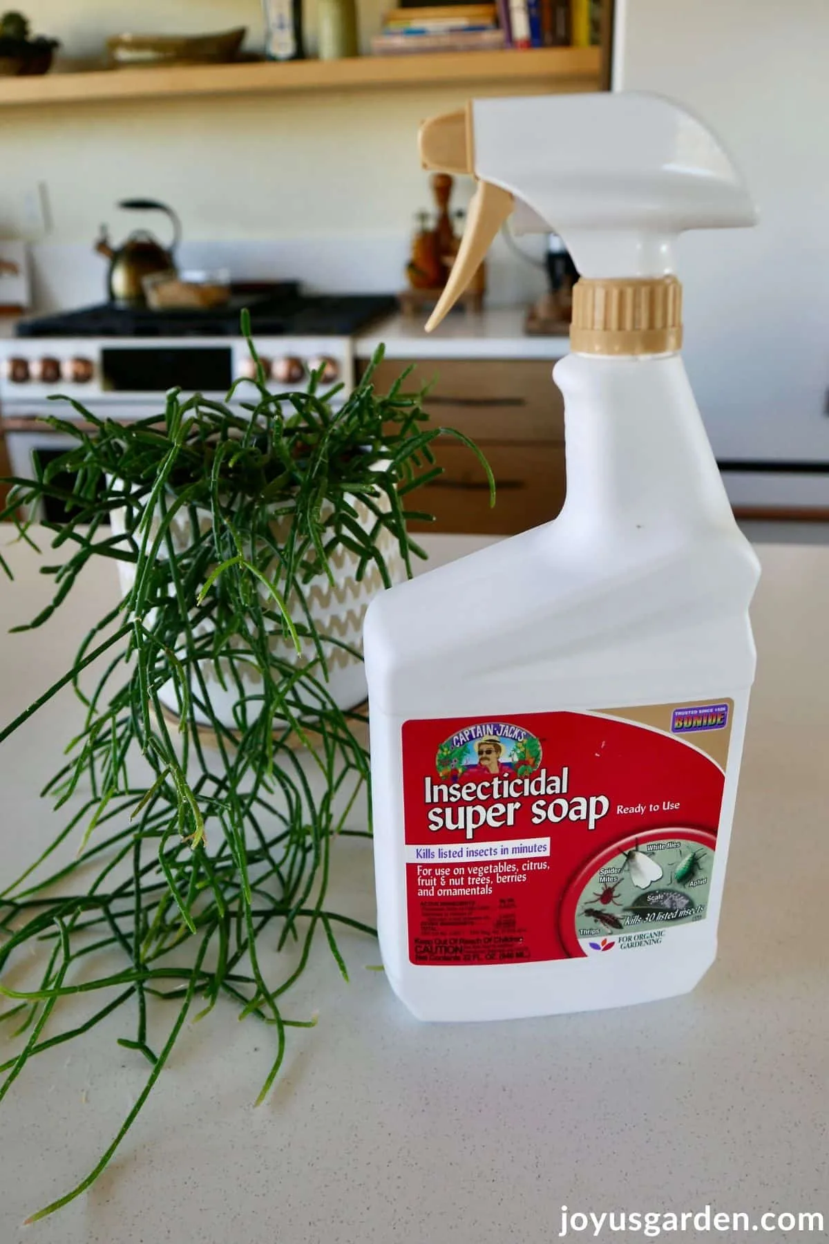 A spray bottle of Captain Jack's Insecticidal Super Soap used for plant pest control.