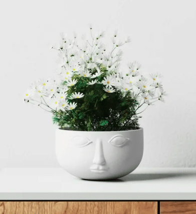 Face planter with white flowers planted inside from all modern.