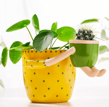 Two in one planter with yellow polkadots and green color from Amazon.