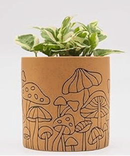 Mushroom etched design planter from Amazon.