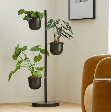 Metal three tiered plant stand with plants inside from West elm.