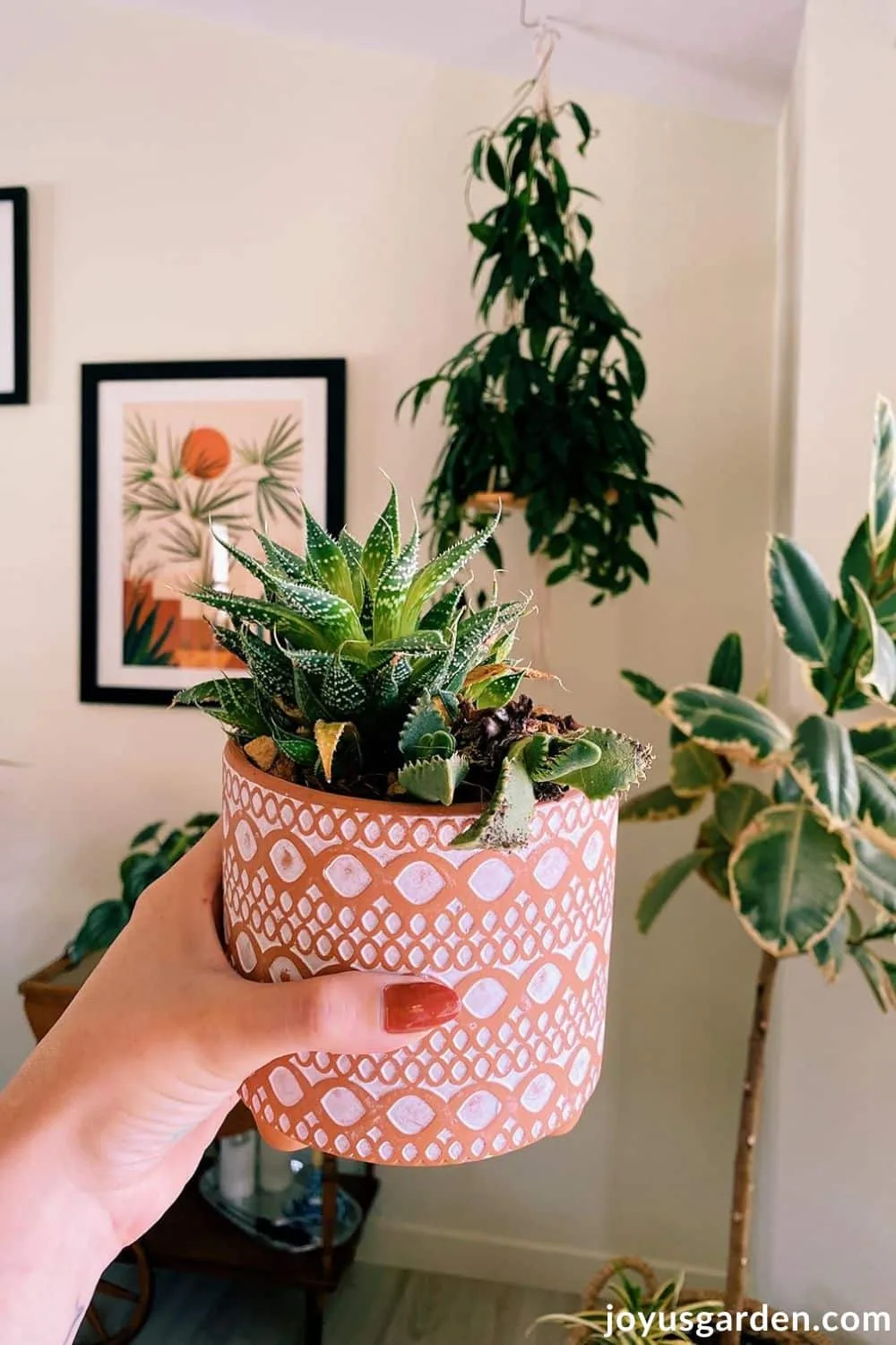A small succulent planting inside of a decorative terra cotta clay pot.