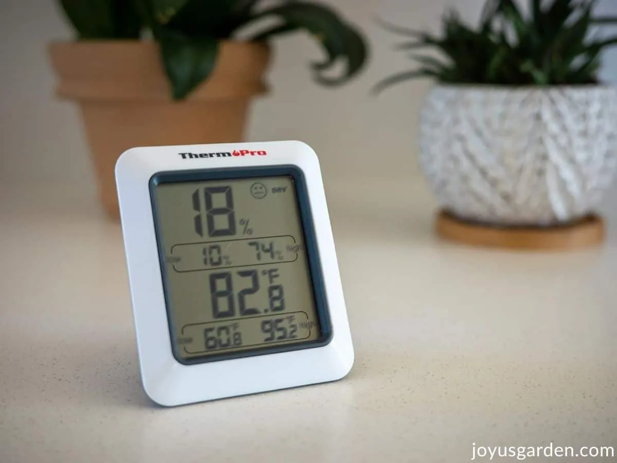 A Therm Pro humidity monitor is placed in front of houseplants.
