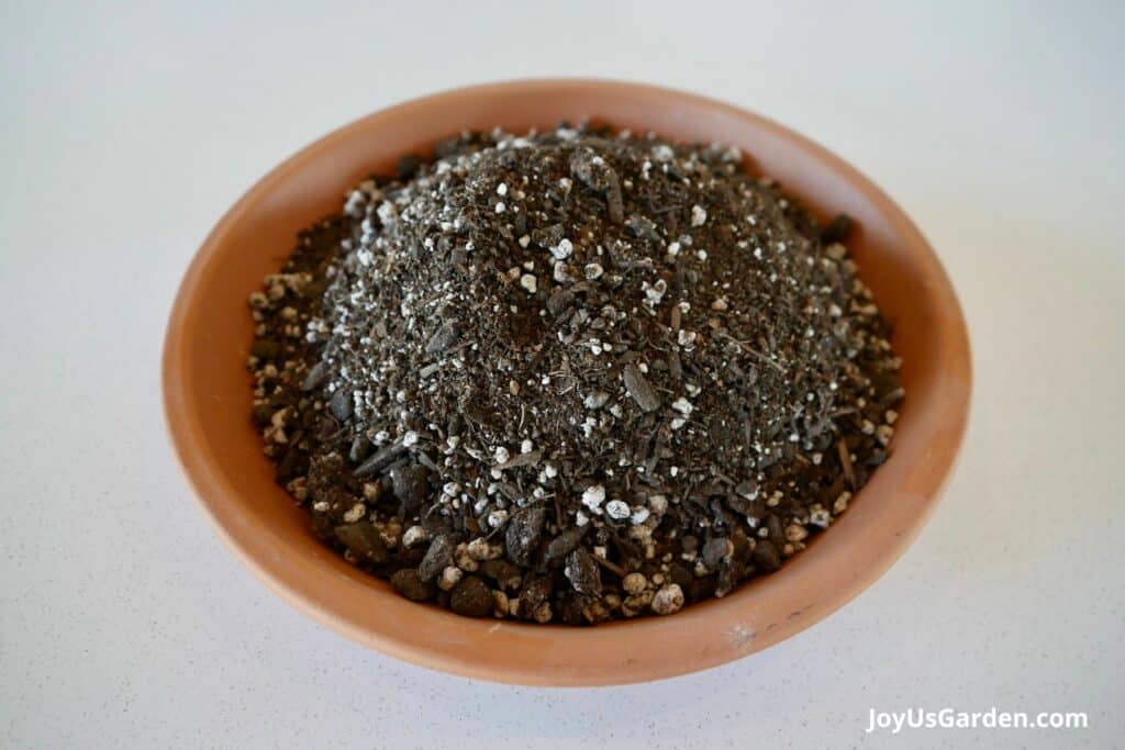 Close-up of potting soil used for houseplants in a terra cotta saucer.