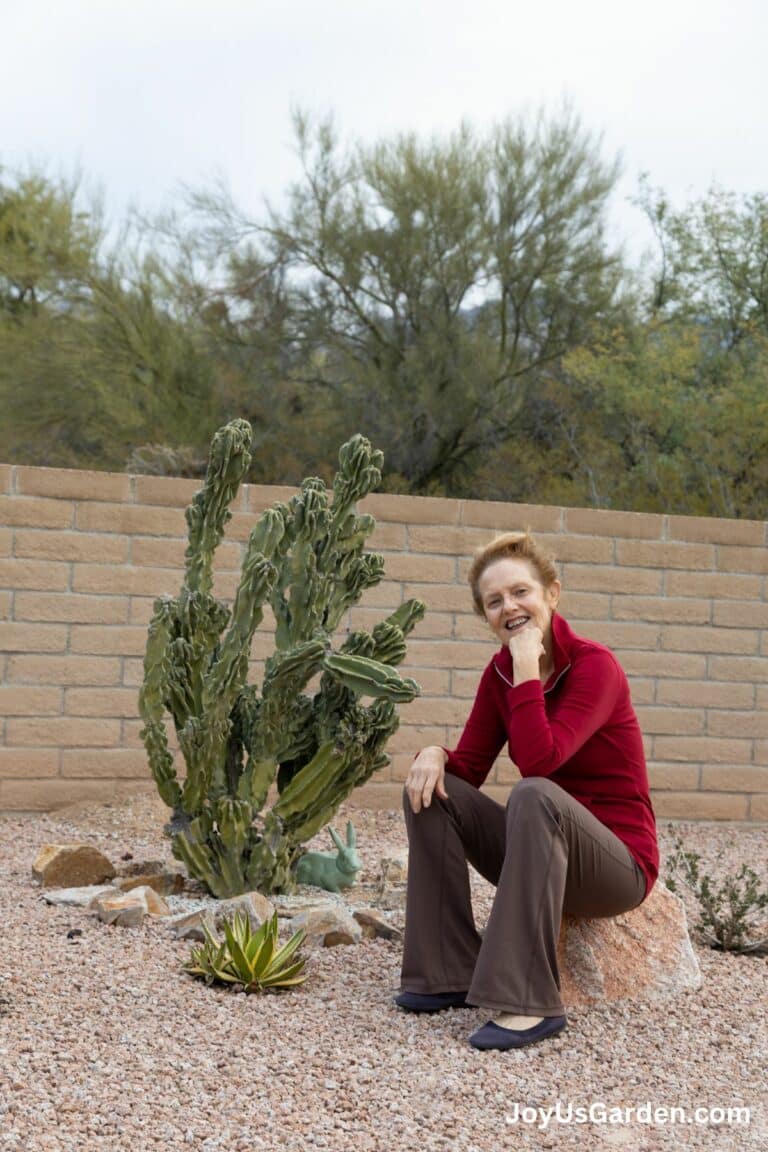 My Sonoran Desert Garden: Take A Tour! (2023)