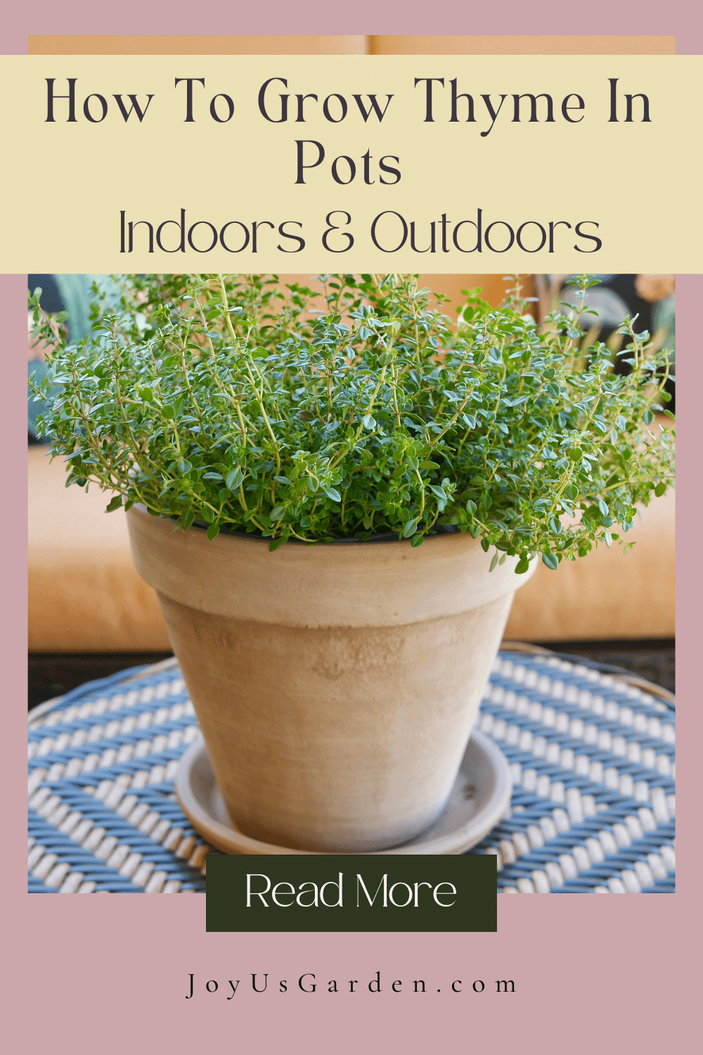 How To Grow Thyme In Pots Tips For Indoors & Outdoors