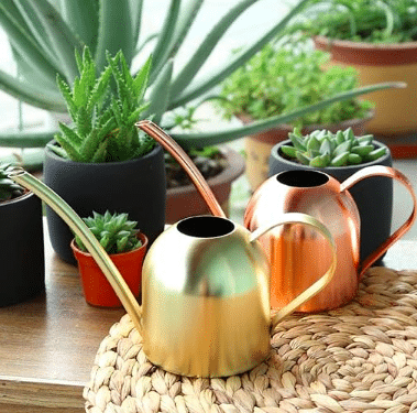 Small steel watering can in gold and copper sets amongst succulents on a plant table.