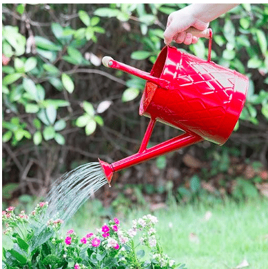 Large steel watering can in the color red shown watering plants outdoors.
