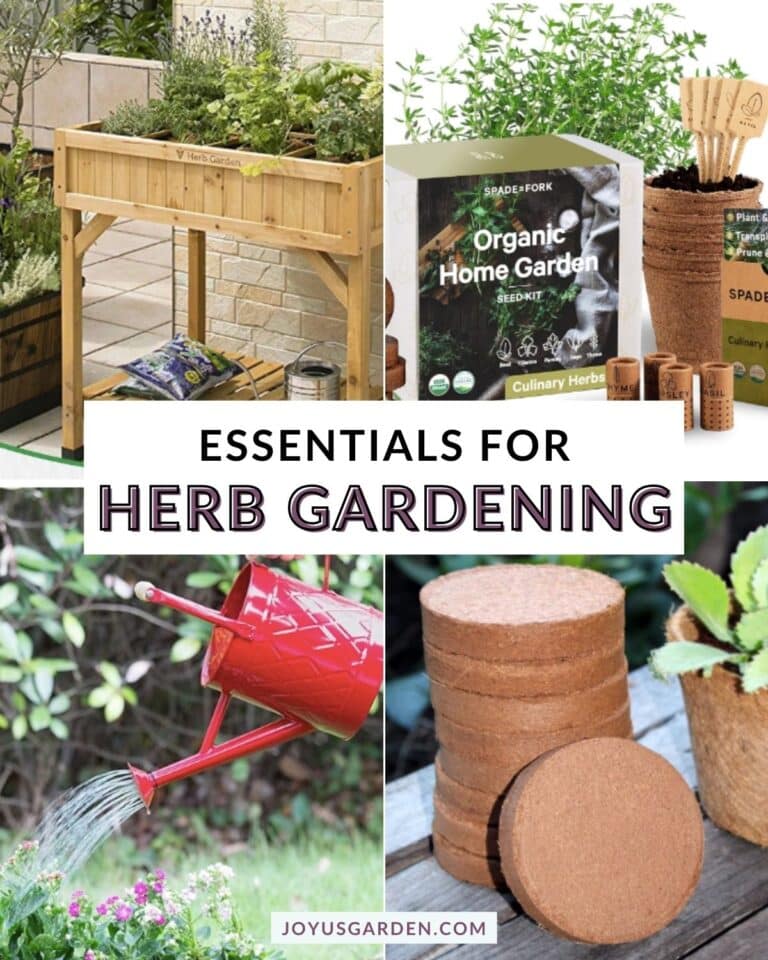 Four photo collage of products and tools for herb garden essentials, text reads essentials for herb gardening.
