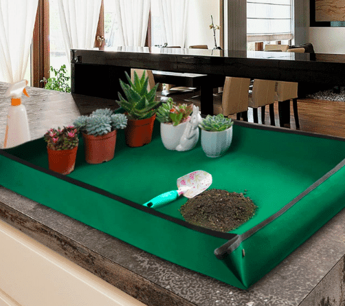 Plants sit atop Extra Large Repotting Mat from Amazon. 